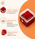osa Eterna Girevole con Collana a Doppio Cuore – Scatola Regalo Romantica 🌹❤️