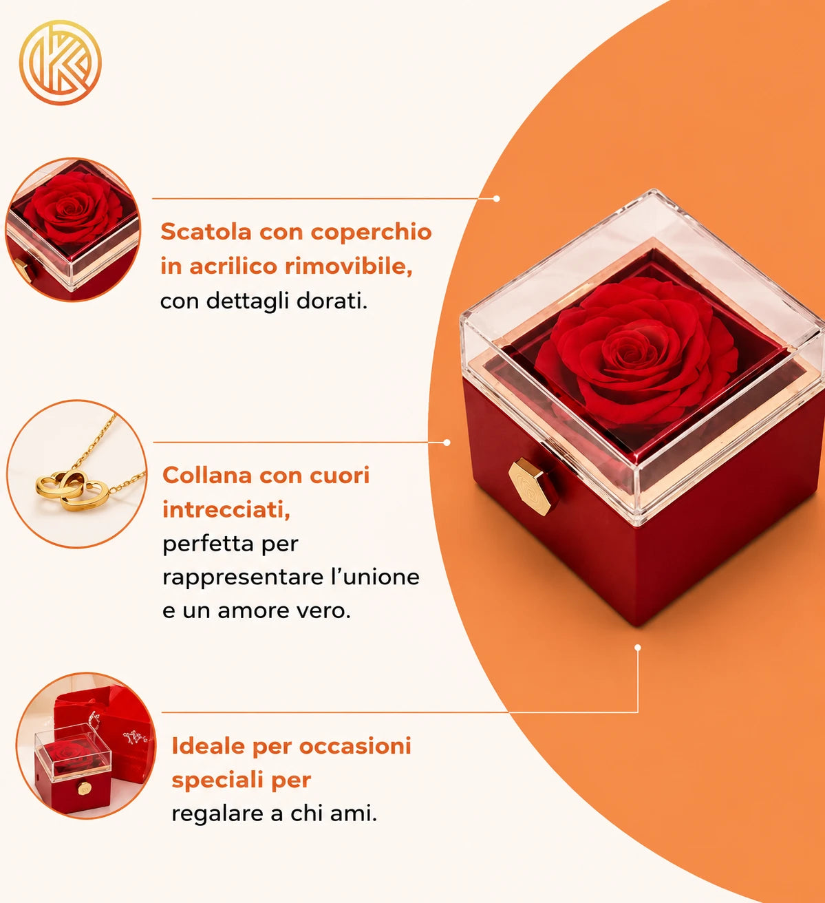 osa Eterna Girevole con Collana a Doppio Cuore – Scatola Regalo Romantica 🌹❤️